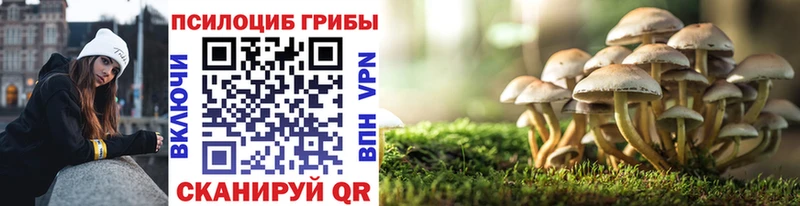 Псилоцибиновые грибы прущие грибы  Белгород 