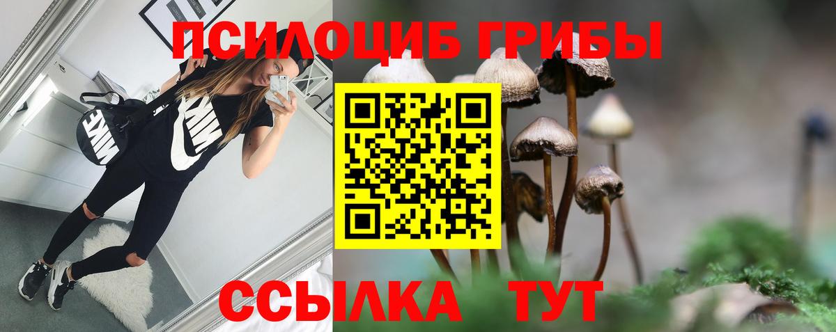 Псилоцибиновые грибы Cubensis Белгород